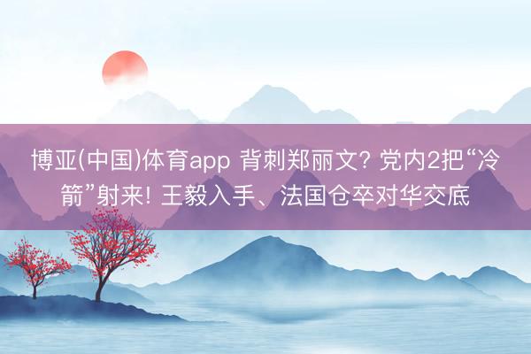 博亚(中国)体育app 背刺郑丽文? 党内2把“冷箭”射来! 王毅入手、法国仓卒对华交底