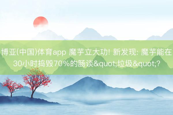 博亚(中国)体育app 魔芋立大功! 新发现: 魔芋能在30小时捣毁70%的肠谈"垃圾"?
