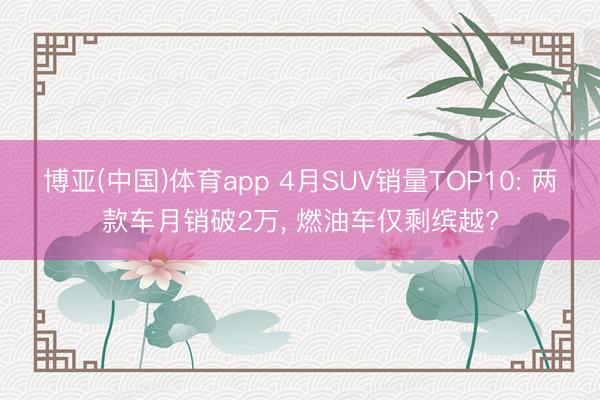 博亚(中国)体育app 4月SUV销量TOP10: 两款车月销破2万， 燃油车仅剩缤越?