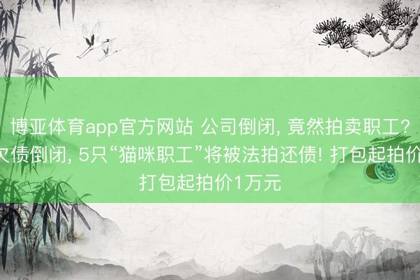 博亚体育app官方网站 公司倒闭, 竟然拍卖职工? 公司欠债倒闭, 5只“猫咪职工”将被法拍还债! 打包起拍价1万元