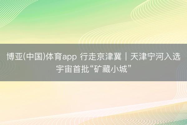 博亚(中国)体育app 行走京津冀｜天津宁河入选宇宙首批“矿藏小城”